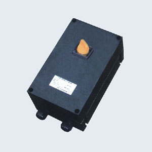 BLG8030系列防爆防腐隔離開關(IIC、Ex tD)