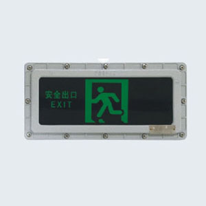 BYY系列防爆消防應(yīng)急標(biāo)志燈具(IIB、IIC)